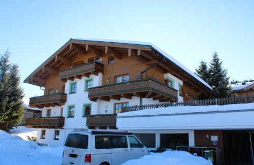 Hochkrimml Appartement | Chalet Alpine Royal B Top 16
