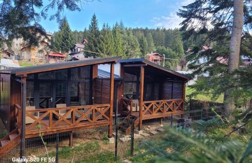 Busteni Chalet De Ski | Chalet Amik