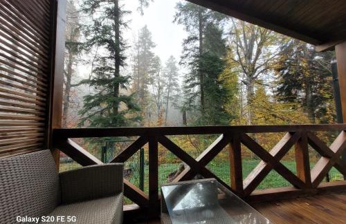 Busteni Chalet De Ski | Chalet Amik