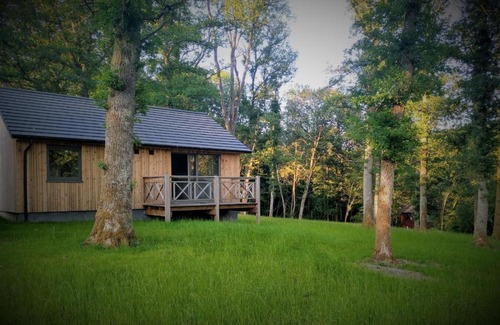 Somme-Leuze Chalet De Ski | Chalet au bois d'Ourthe