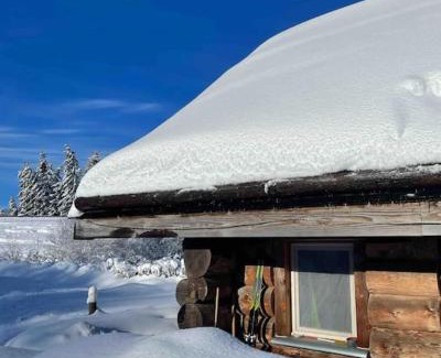 Picherande Chalet De Ski | Chalet au bord d'un étang privé, Massif du Sancy