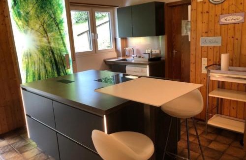 Ortsmitte Maison | Chalet BERGglück Willingen - Nähe Skilifte