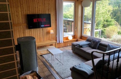 Ortsmitte Maison | Chalet BERGglück Willingen - Nähe Skilifte