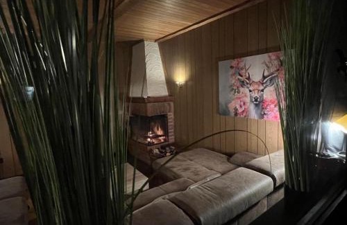 Wakenfeld Maison | Chalet BERGliebe Willingen- Nähe Skywalk