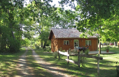 Luglon Maison | Chalet bois au coeur de la forêt des landes