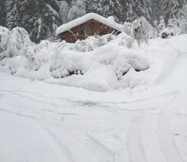 Les Prodains Chalet De Ski | Chalet Chardon