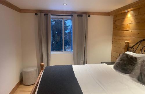 Aspen Appartement | Chalet Chic 2BR plus Queen Sleeper Sofa