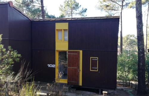 Maubuisson Chalet De Ski | Chalet dans les pins