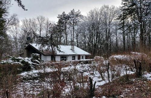 Hamoir Chalet De Ski | Chalet des pins d'Autriche