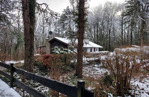 Hamoir Chalet De Ski | Chalet des pins d'Autriche