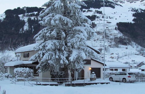 Engelberg Appartement | Chalet Eien by Interhome
