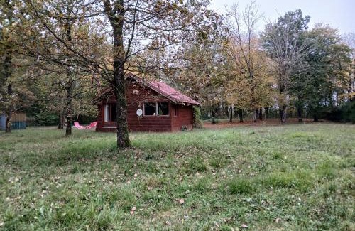 Valpuiseaux Chalet De Ski | Chalet en forêt, brame du cerf