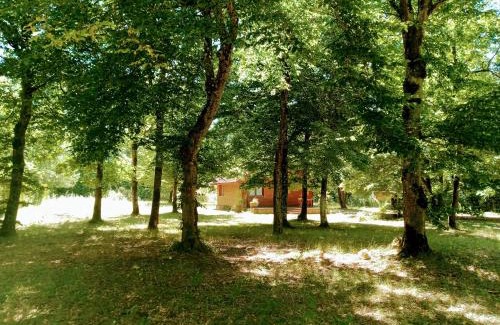Valpuiseaux Chalet De Ski | Chalet en forêt, brame du cerf