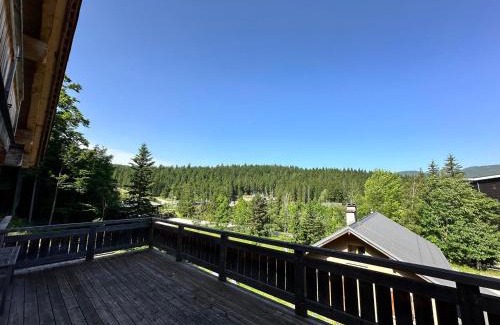 Correncon-en-Vercors Chalet De Ski | Chalet familial 10 pers, sauna, terrasse – Corrençon en Vercors - FR-1-515-215
