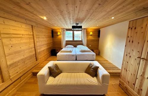 Correncon-en-Vercors Chalet De Ski | Chalet familial 10 pers, sauna, terrasse – Corrençon en Vercors - FR-1-515-215