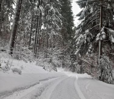Busteni Cabine | Chalet Hay Huy