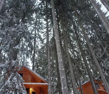 Busteni Cabine | Chalet Hay Huy