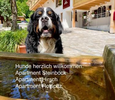 Bad Hindelang Appartement | Chalet Hirschbach