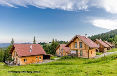 Frantschach-Sankt Gertraud Maison | Chalet in Alps with Private Sauna