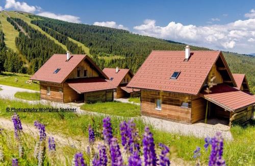 Frantschach-Sankt Gertraud Maison | Chalet in Alps with Private Sauna