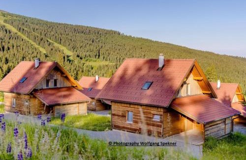 Frantschach-Sankt Gertraud Maison | Chalet in Alps with Private Sauna