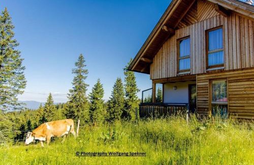 Frantschach-Sankt Gertraud Maison | Chalet in Alps with Private Sauna