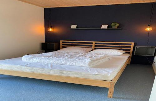 De Veenhoop Chalet De Ski | Chalet in Friesland near Alde Feanen Park