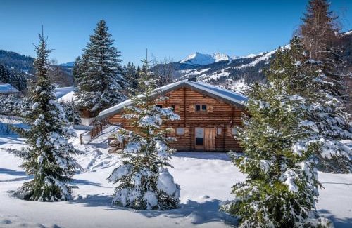 Les Gets Chalet De Ski | Chalet Joux Verte - OVO Network
