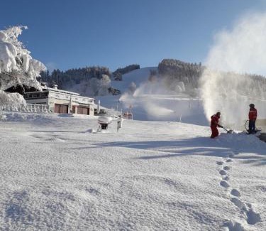 Notre-Dame-de-Bellecombe Chalet De Ski | Chalet Le Wapiti, aux pieds des pistes, à 200m du village