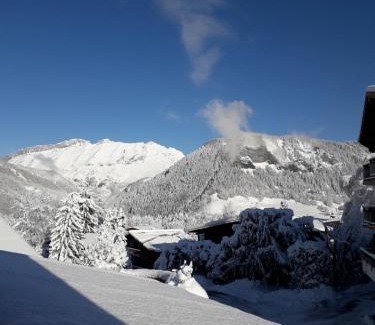 Notre-Dame-de-Bellecombe Chalet De Ski | Chalet Le Wapiti, aux pieds des pistes, à 200m du village