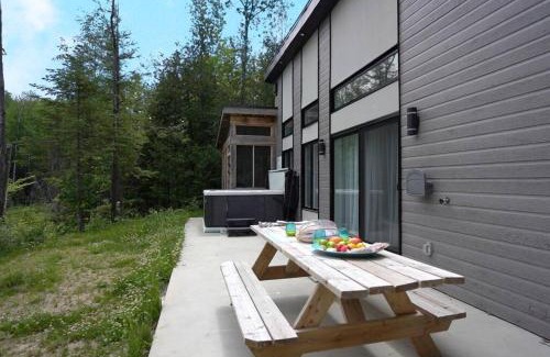 Chertsey Chalet De Ski | Chalet L'Hérisson (Modern, Spa, BBQ, waterfront)