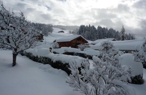 Crest-Voland Appartement | Chalet Le Starfu