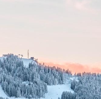 Le Planellet Chalet De Ski | Chalet Mont d'Arbois Ski et Golf