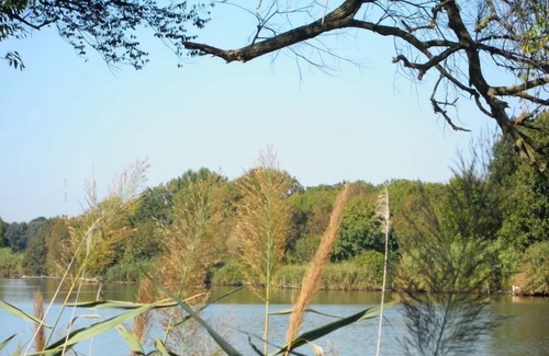 San Piero a Grado Chalet De Ski | Chalet sur rivière avec jardin en Toscana, la nature proche de la ville !