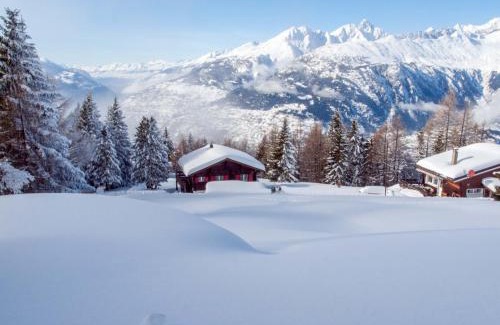 Rosswald Appartement | Chalet Panorama