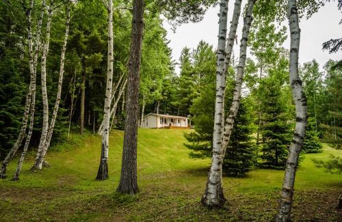 Les Eboulements Chalet De Ski | Chalet Sous Les Pins