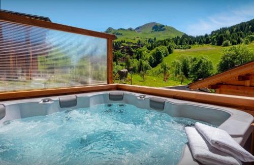 Le Chinaillon Chalet De Ski | Chalet Trusquin - OVO Network