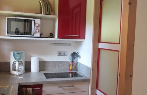 Les Carroz-d'Araches Appartement | Chalet "mazot'' type studio avec terrasse