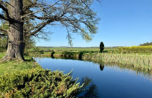 Ceske Budejovice 7 Maison | Chaloupka Větrník na samotě u lesa