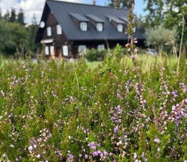 Destne v Orlickych horach Appartement | Chalupa Luisko