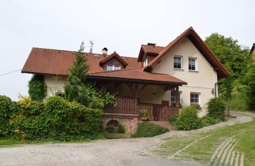 Vichova nad Jizerou Maison | Chalupa Dana