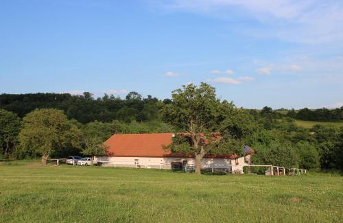 Zemiansky Vrbovok Maison | Chalupa -Ranč pod Žobrákom