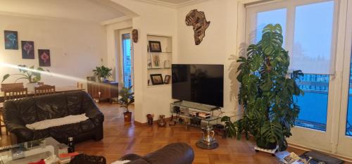 Busserach Maison | Chambre à Louer chez l'habitant Lausanne centre