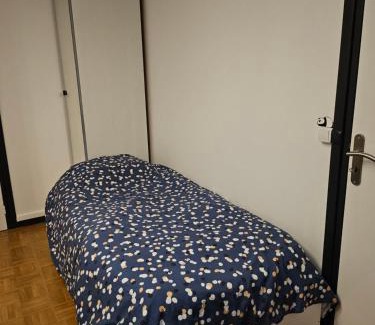 Bois Clos d'Orleans Maison | chambre 5mn de paris