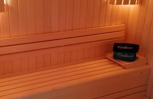 Peloux-Mail Maison | Chambre avec Spa et Sauna privatisés