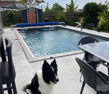 Yves Lit Et Petit-Déjeuner | Chambre avec vue sur le marais et la piscine