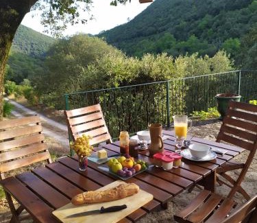 Cros Lit Et Petit-Déjeuner | Chambre Cévennes: Piscine, lamas, rivière