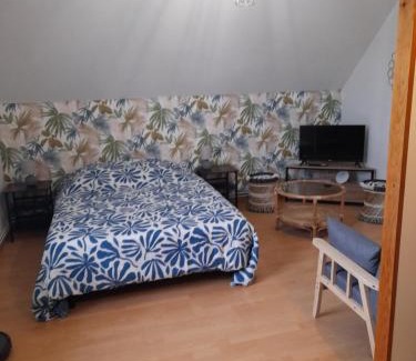 Mur-de-Sologne Maison | Chambre Chez Lionel