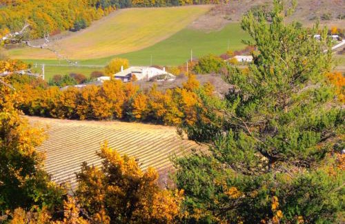 Banon Maison | Chambre d'hôte dans ferme provençale