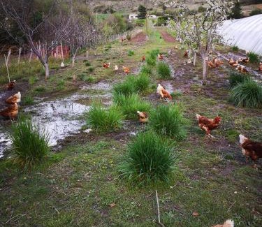 Banon Maison | Chambre d'hôte dans ferme provençale